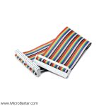 کابل فلت 40 پین GPIO رزبری پای